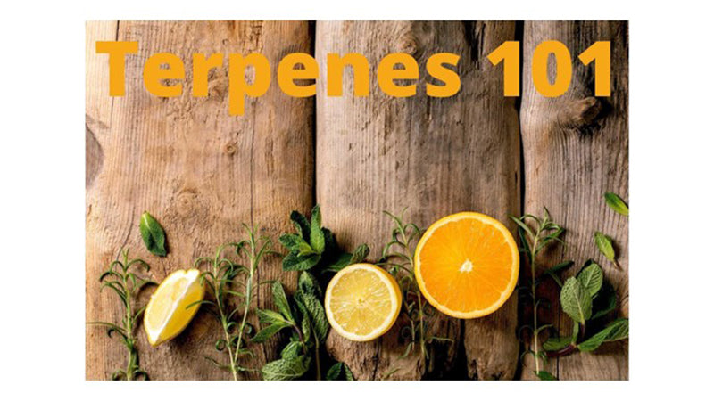 Terpenes 101